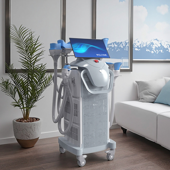 Professional 360° Cryolipolysis Fat Freezing Machine
